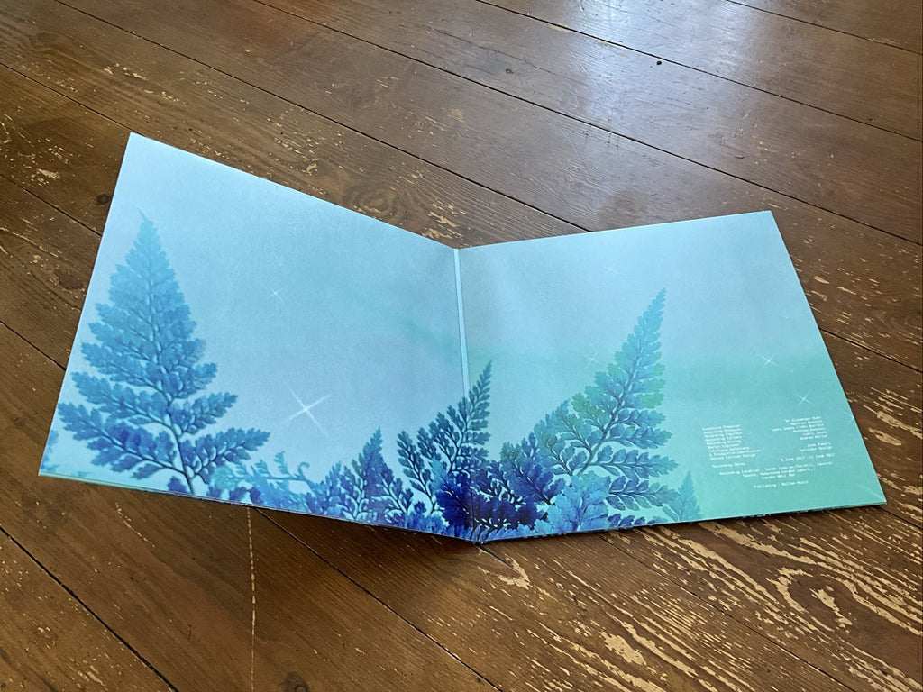 Ola Gjeilo : Ola Gjeilo: Winter Songs VINYL 12" Album Coloured Vinyl (2023)