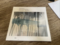 FRED HERSCH DREW GRESS JOEY BARON SURROUNDING GREEN - LP vinyl