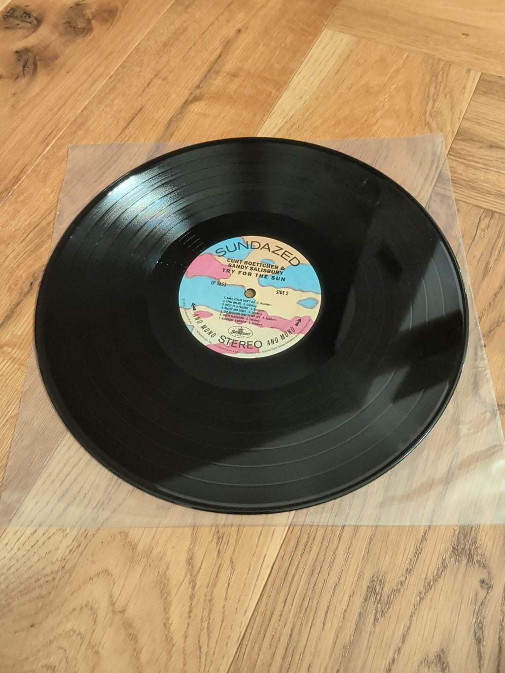 Sandy Salisbury & Curt Boettcher Try for the Sun VINYL Deluxe  12" Album LP 