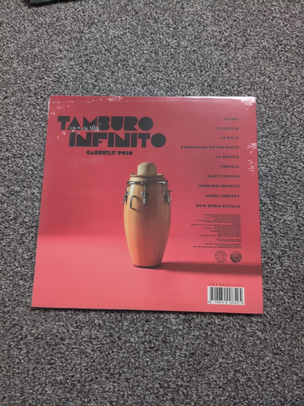 Tamburo Infinito by Gabriele Poso (Record, 2021) Sealed