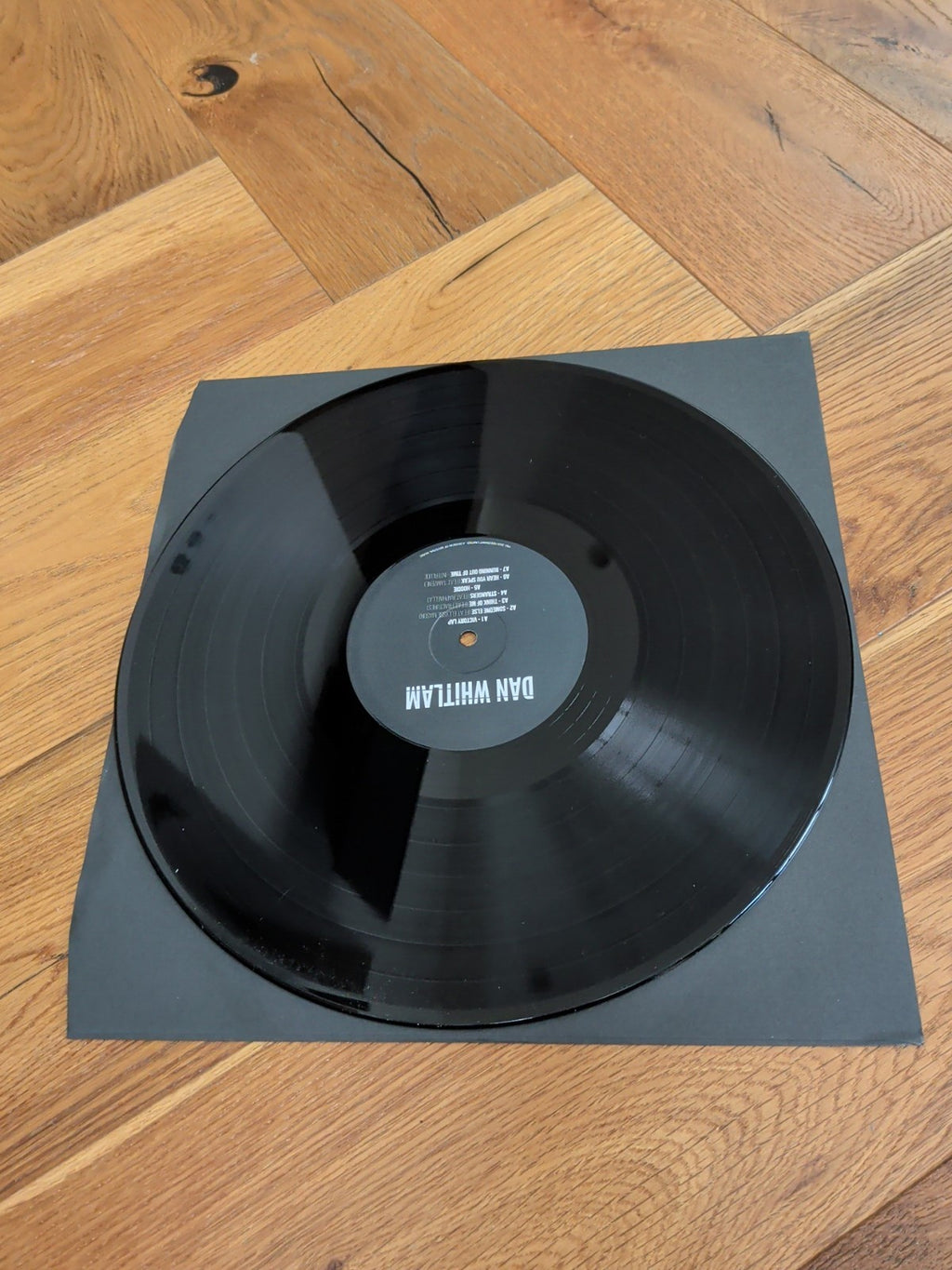 Dan Whitlam  Strangers Again VINYL 12" Album 2026 LP