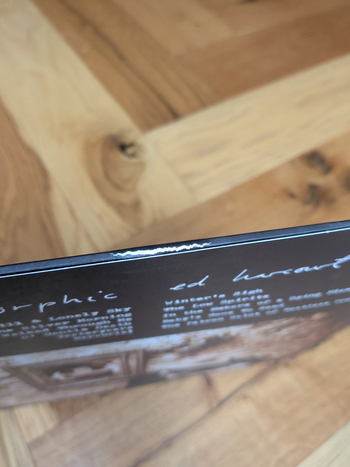 Ed Harcourt Orphic LP Vinyl Album