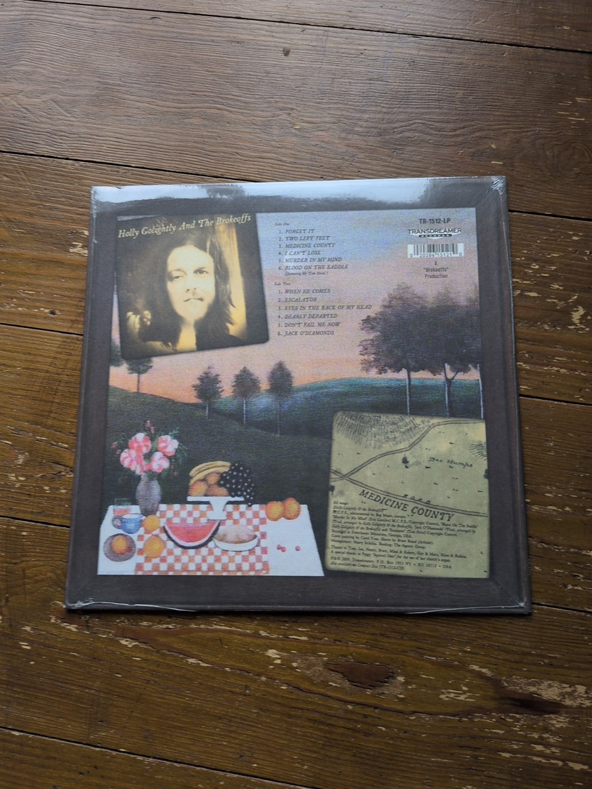 Medicine County by Holly Golightly & the Brokeoffs (Record, 2010) Sealed