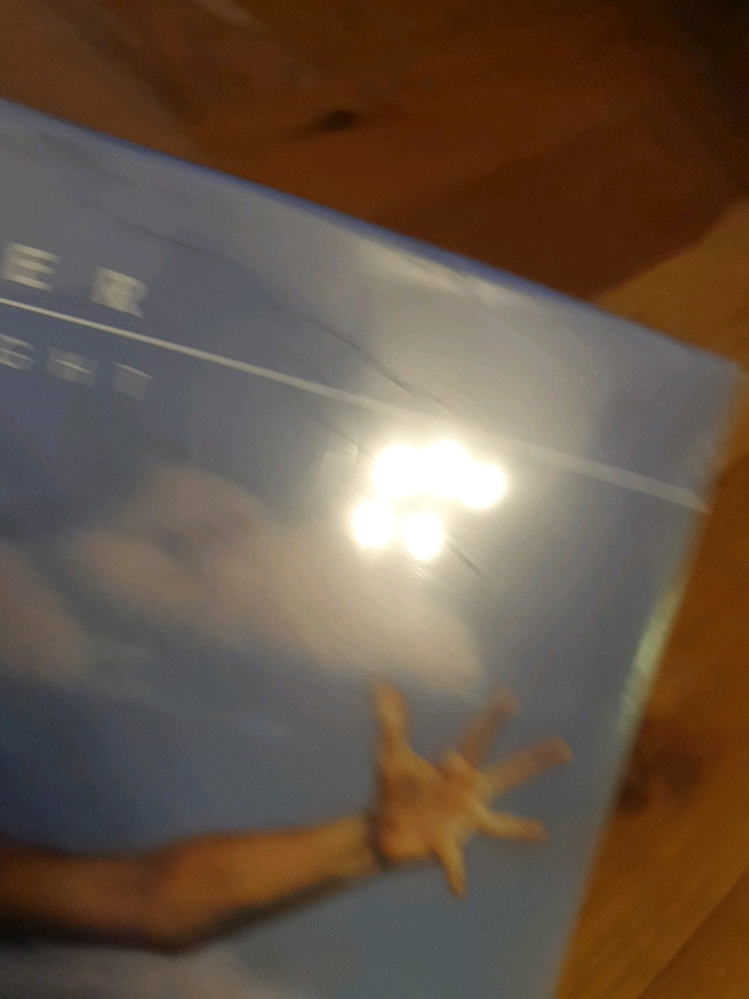 Endless Flight by Leo Sayer (Record, 2020)