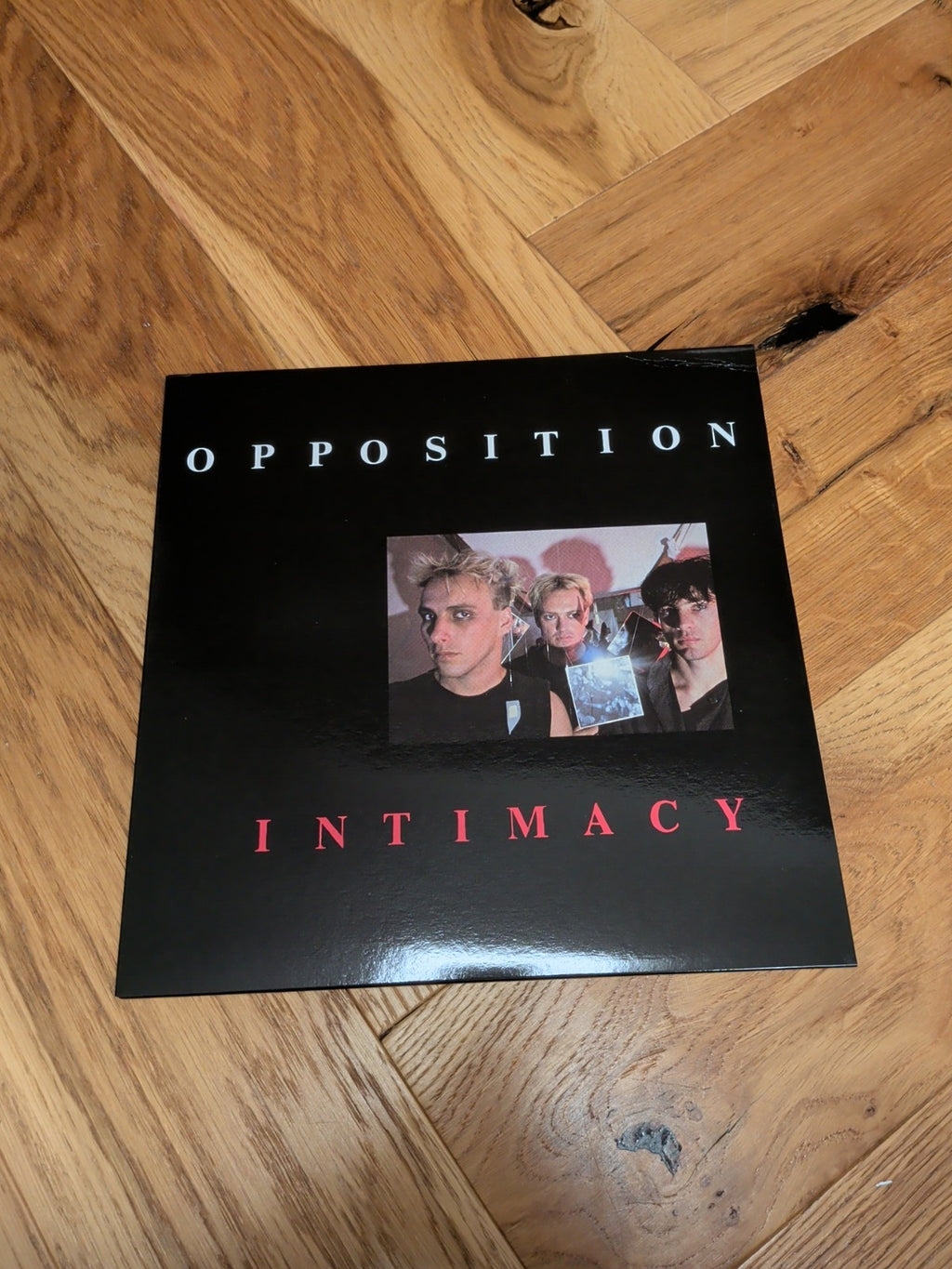 Opposition Intimacy (Vinyl) LP Album