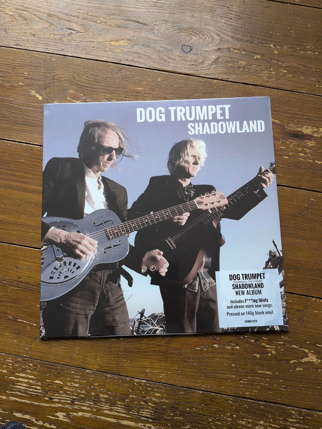 Shadowland by Dog Trumpet (Record, 2022)