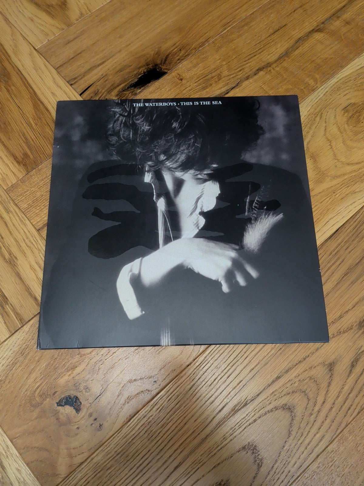 The Waterboys This Is the Sea VINYL 12" Album Clear vinyl 2024 LP