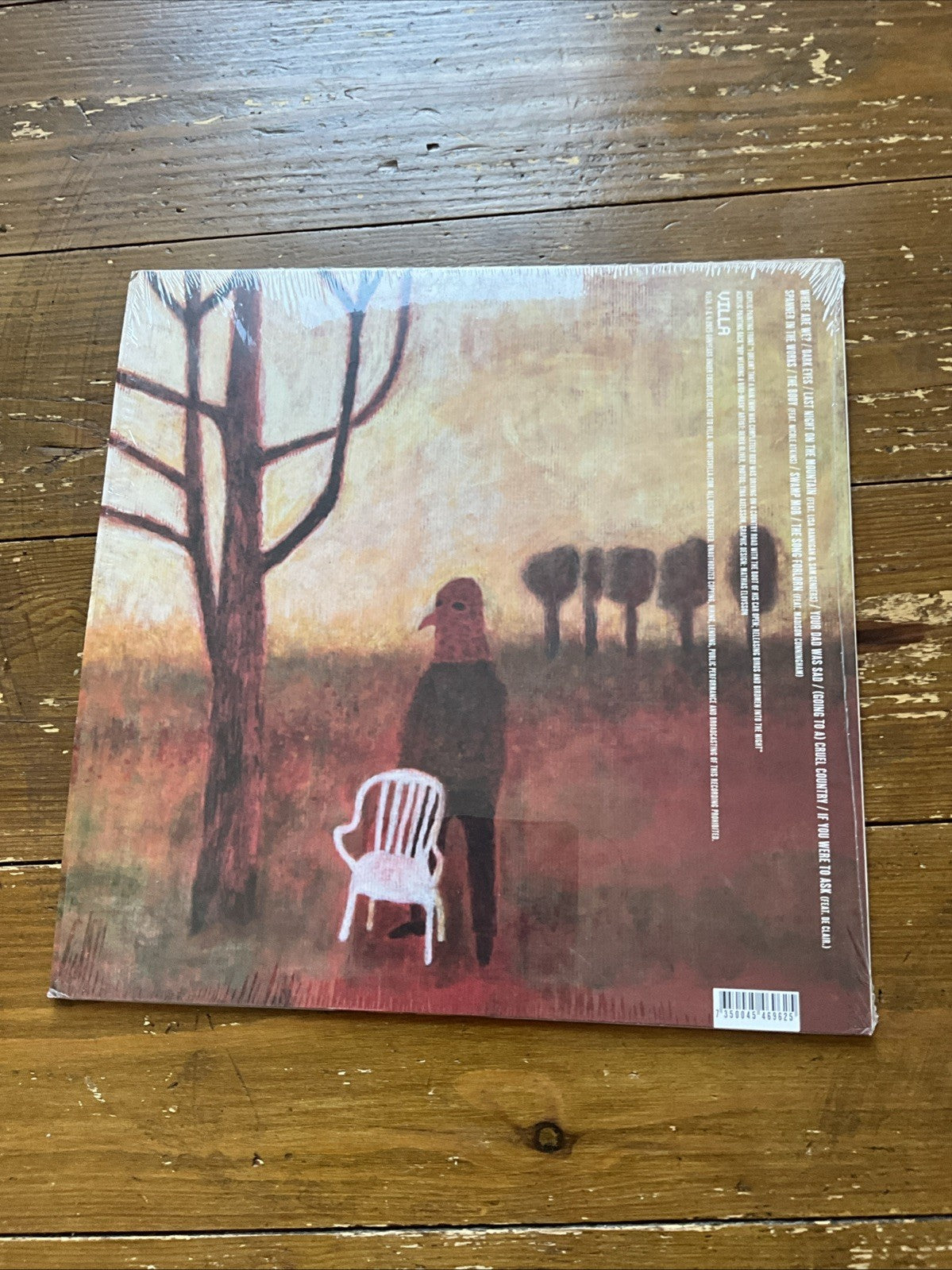 SunYears - The Song Forlorn [VINYL]
