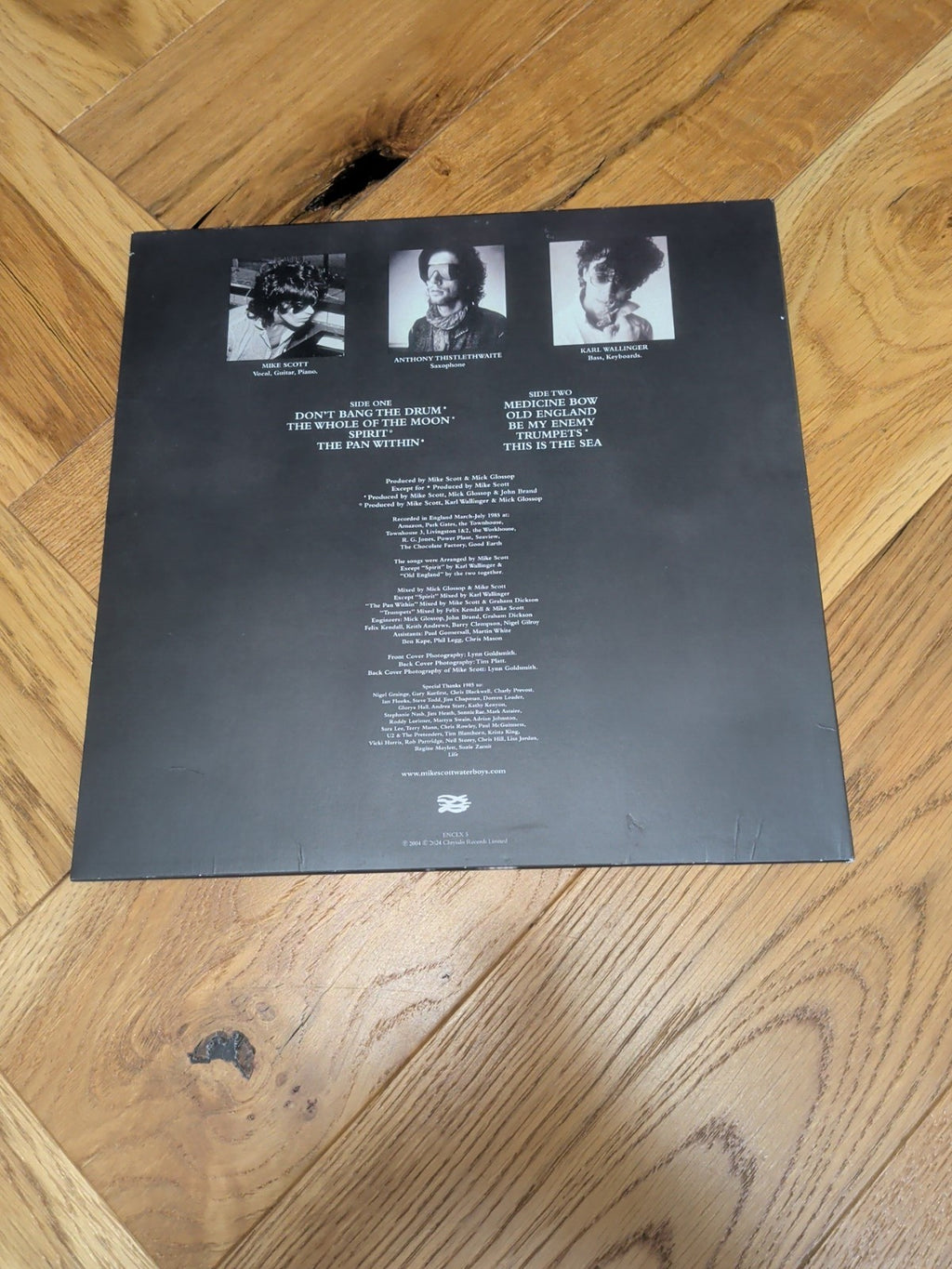 The Waterboys This Is the Sea VINYL 12" Album Clear vinyl 2024 LP
