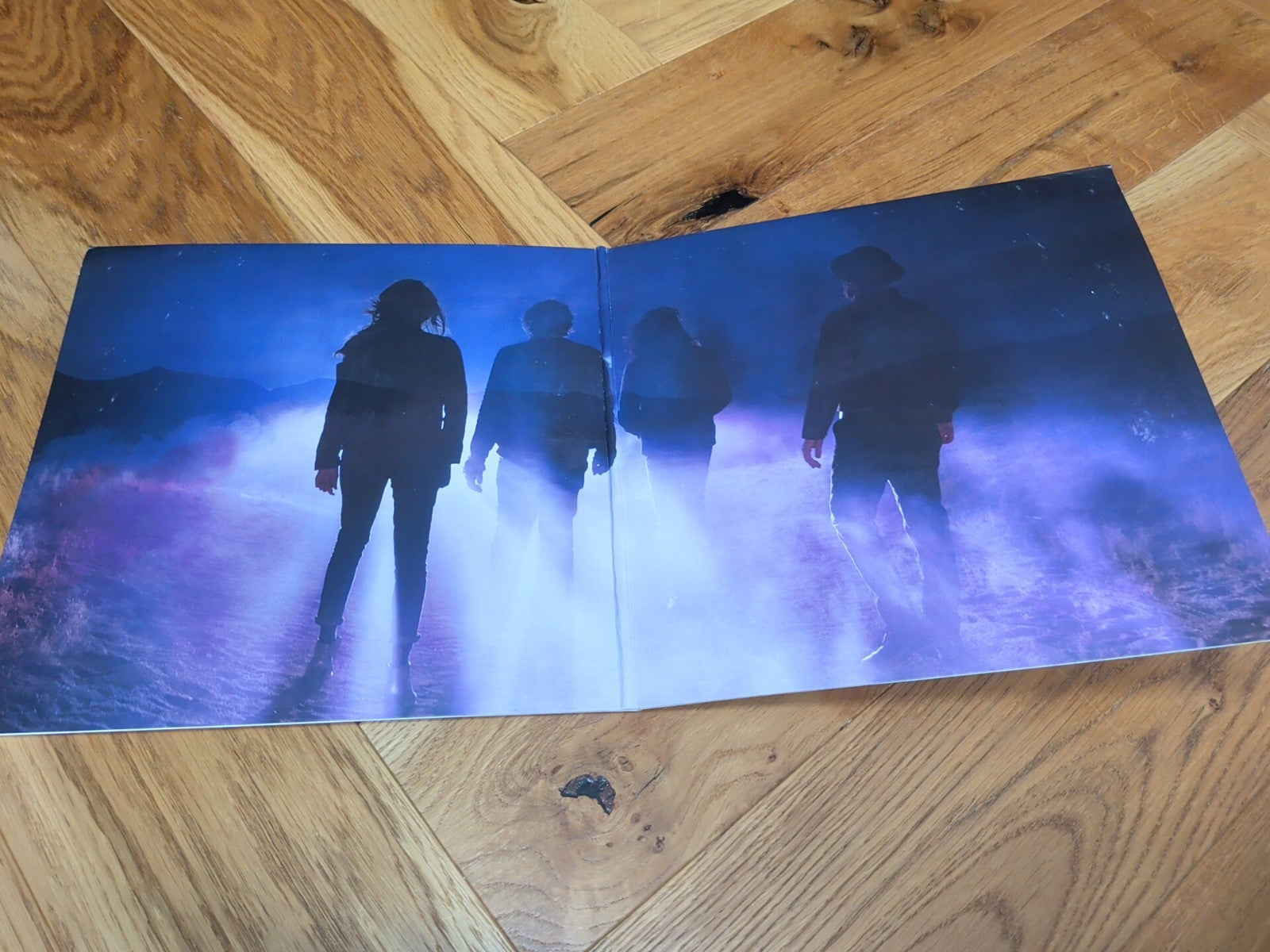 Better Nature LP X 2 by Silversun Pickups Record 2015 Album