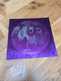 SMASHING PUMPKINS Gish remastered Vinyl gatefold 180 gram vinyl LP