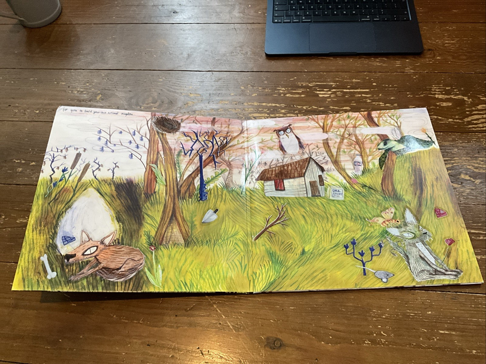 cavetown : Animal Kingdom VINYL 12" Album Coloured Vinyl (Limited Edition)