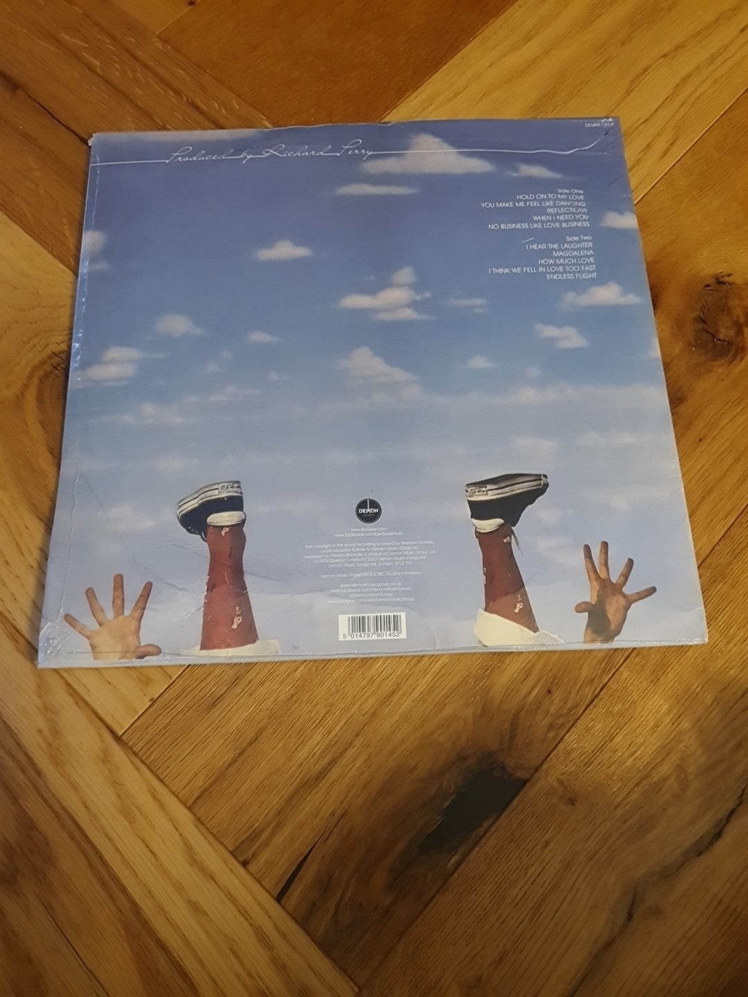 Endless Flight by Leo Sayer (Record, 2020)