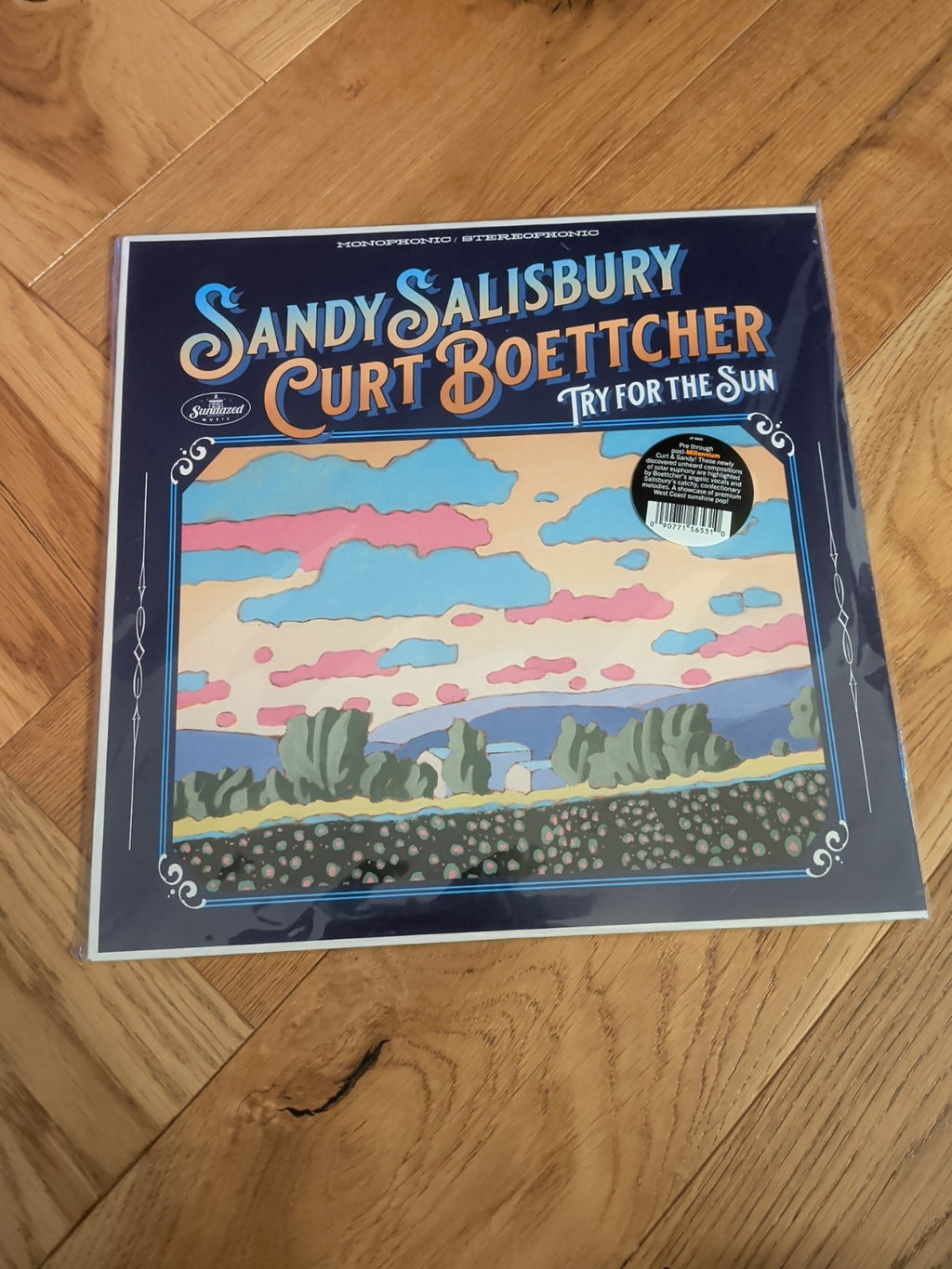 Sandy Salisbury & Curt Boettcher Try for the Sun VINYL Deluxe  12" Album LP 