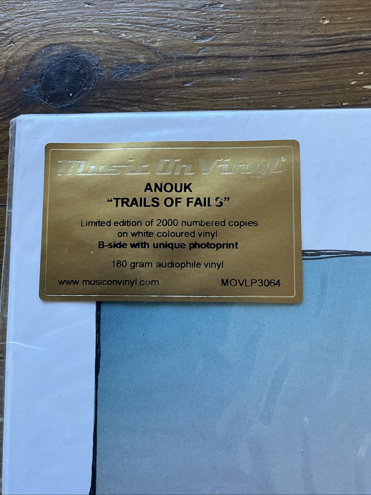Trails of Fails Trails of Fails [Limited Edition] by Anouk (Record, 2022)