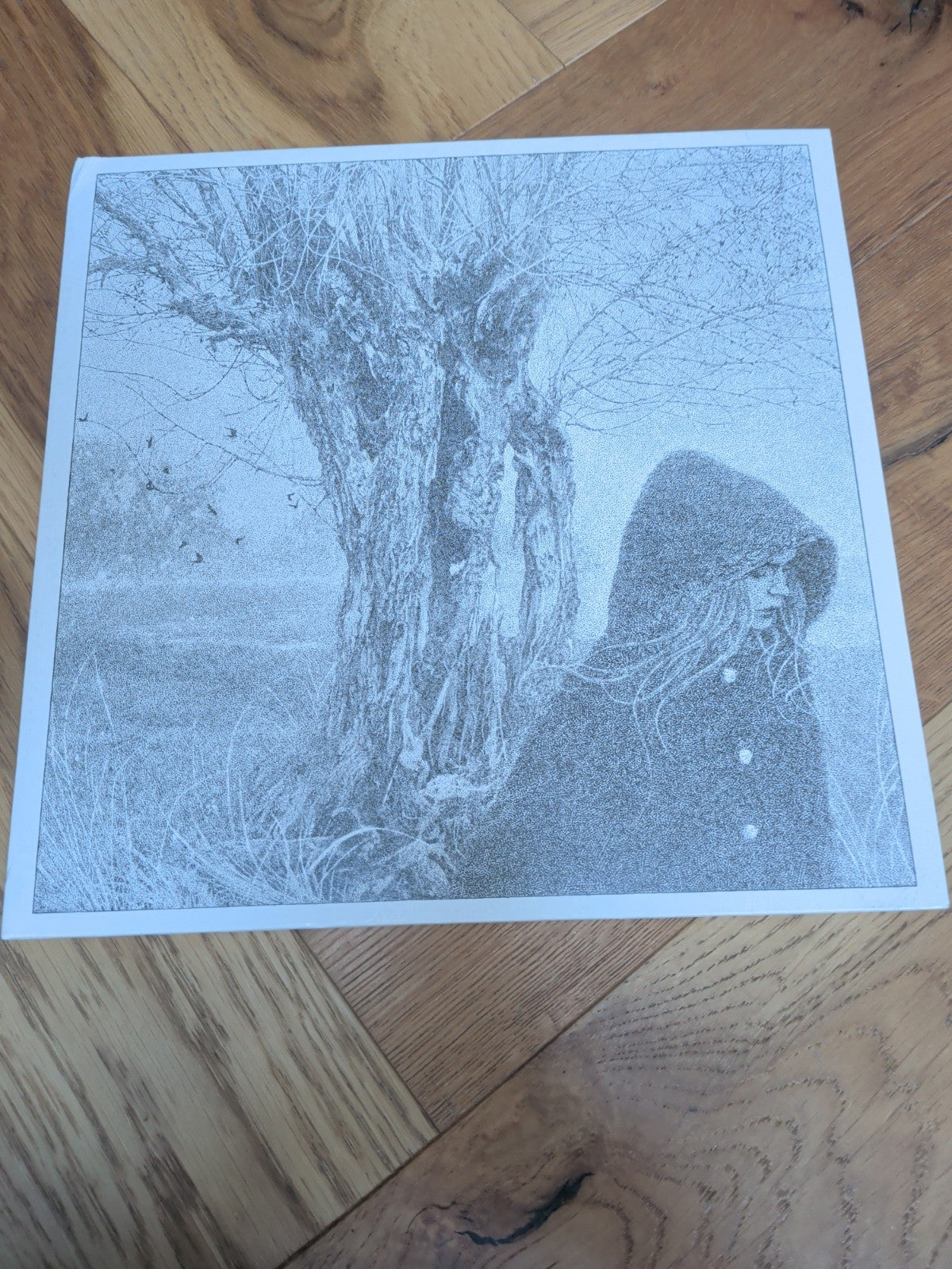 Lankum Between the Earth and Sky Vinyl LP X 2 - READ DESCRIPTION