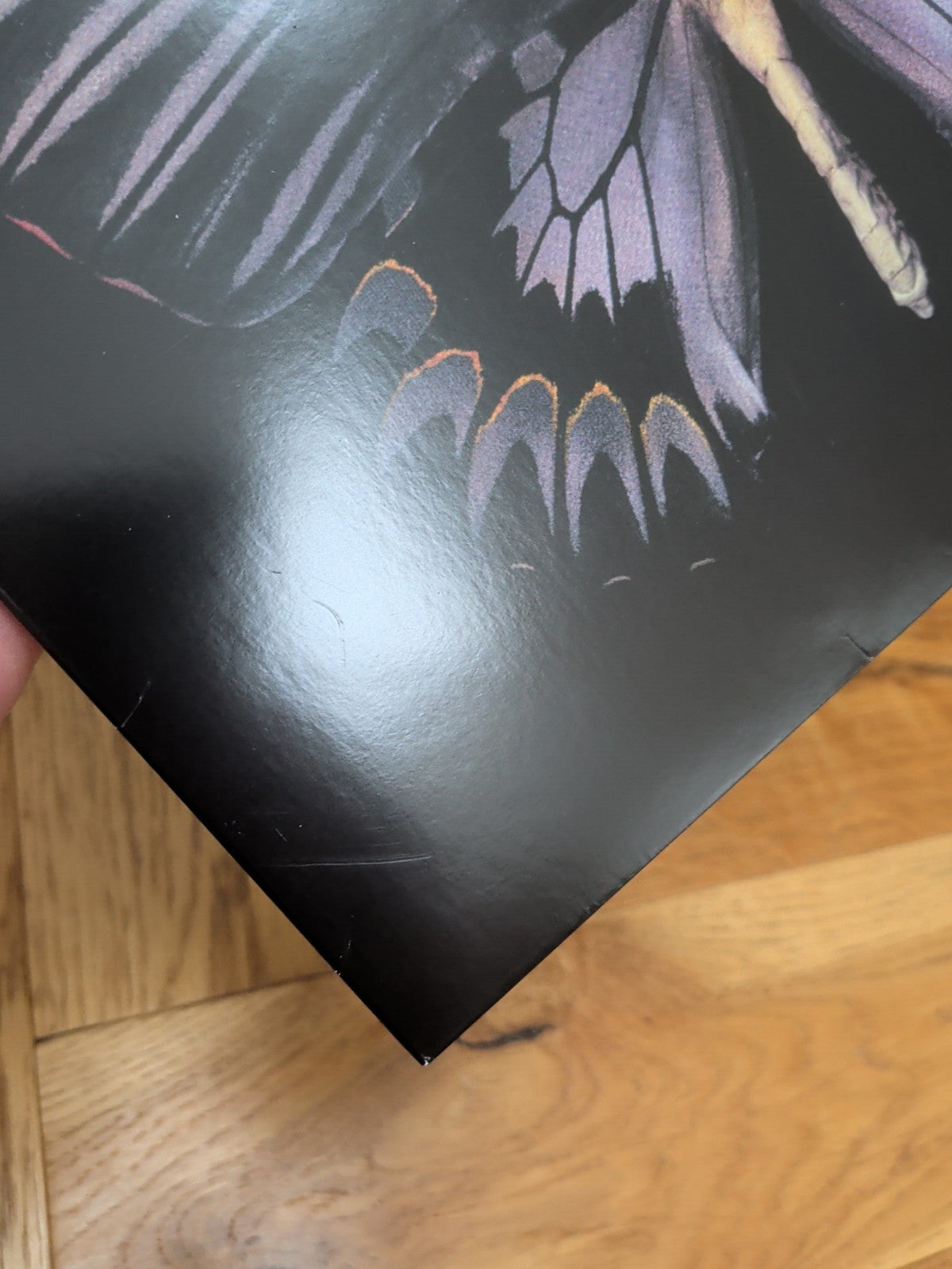Buckcherry  Black Butterfly VINYL 12" Album 2025 LP