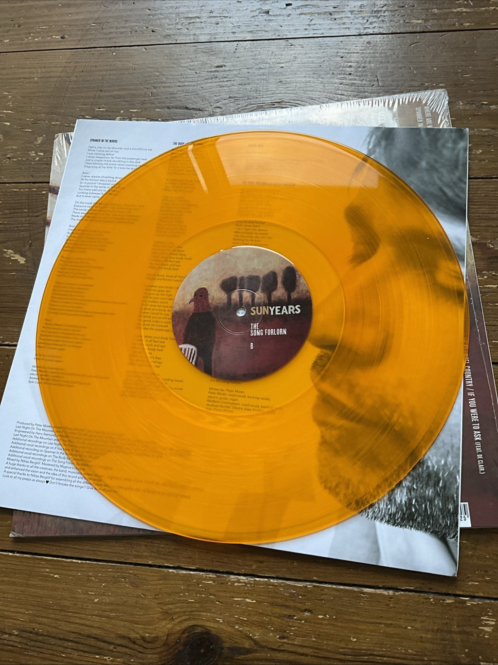 SunYears - The Song Forlorn [VINYL]