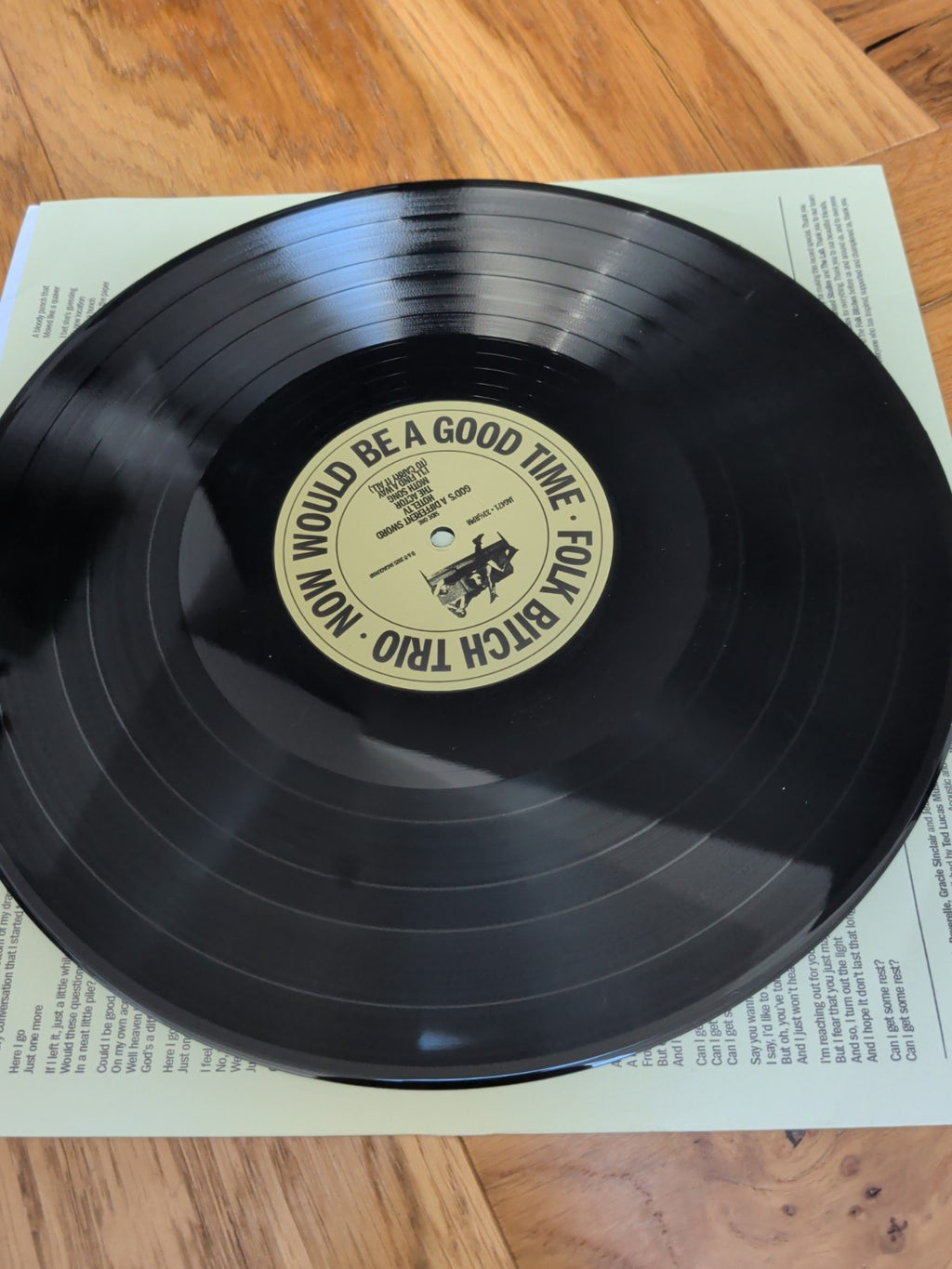 Folk Bitch Trio Now Would Be a Good Time Vinyl LP - See Description