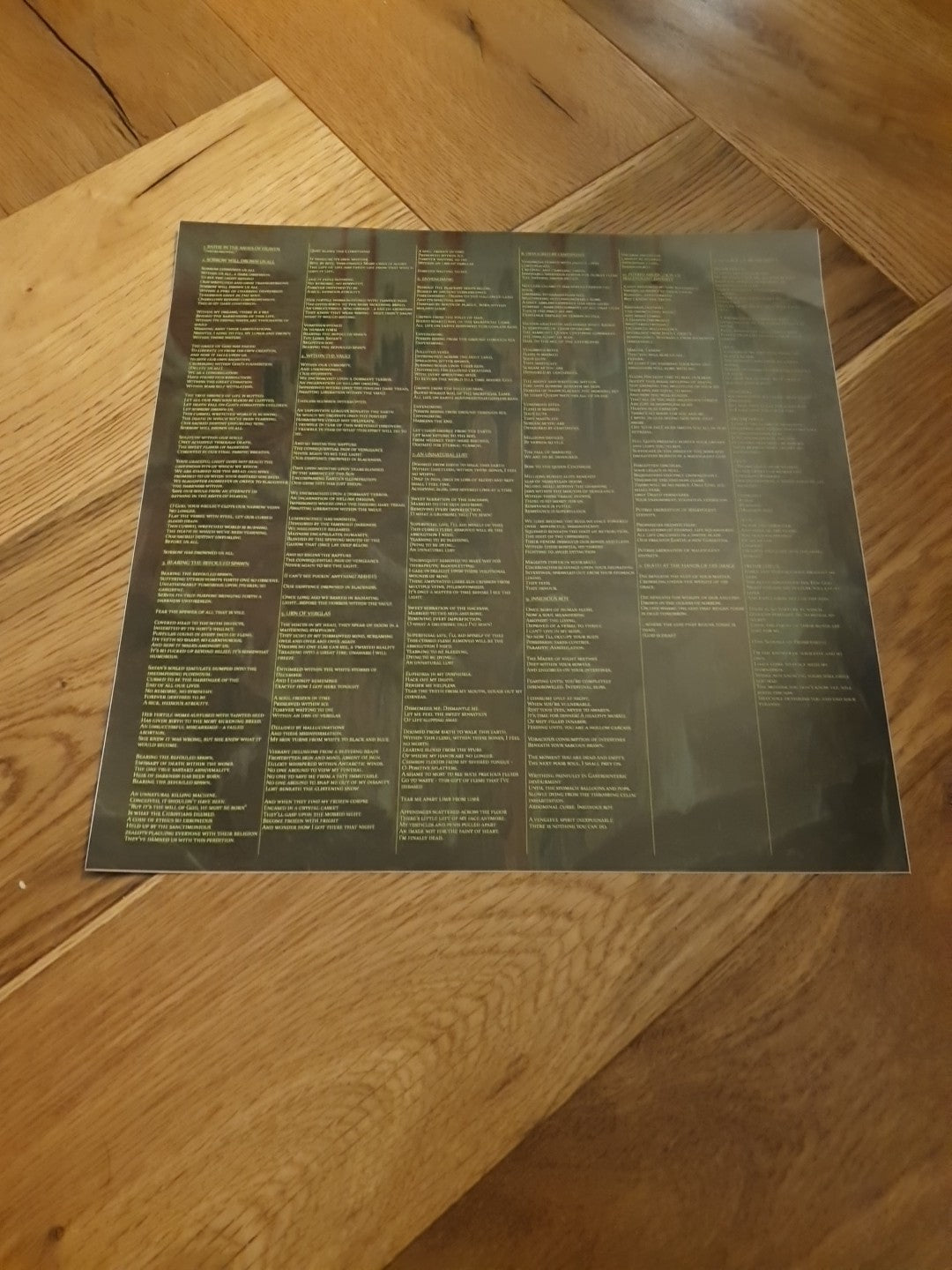 Recorruptor : Sorrow Will Drown Us All VINYL 12" Album (2025) LP