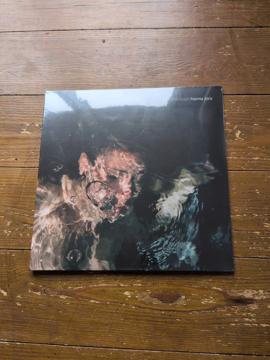 Naima Joris While the Moon (Vinyl)