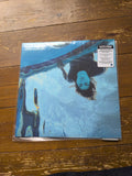 Hayes Noble Head Cleaner (Vinyl)