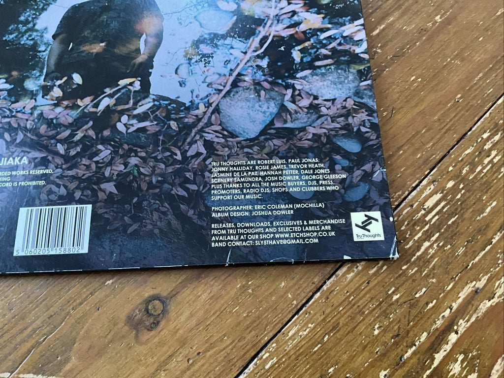Invisible Man: an Orchestral Tribute to Dr. Dre by Sly5thave (Record, 2017)