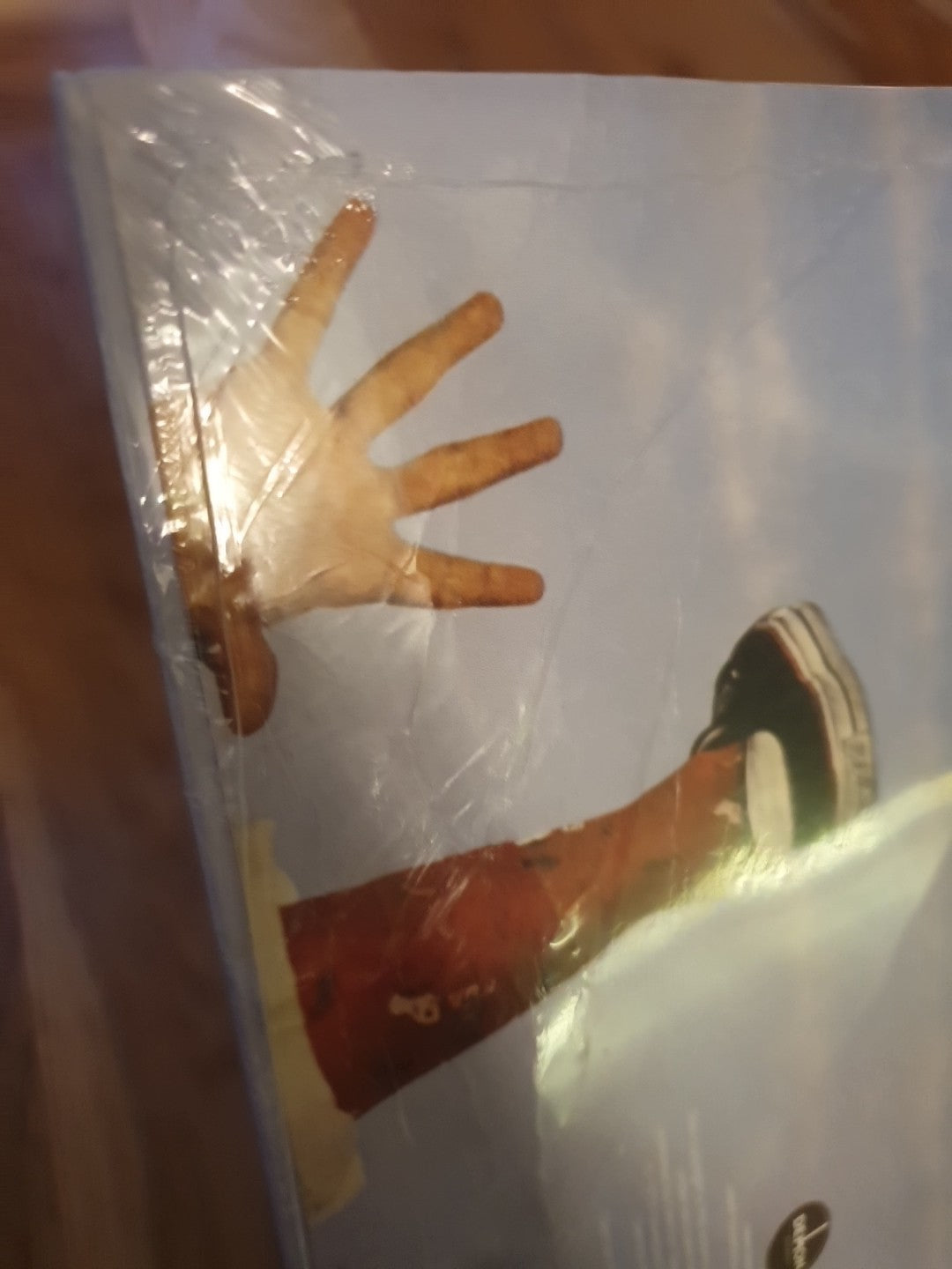 Endless Flight by Leo Sayer (Record, 2020)