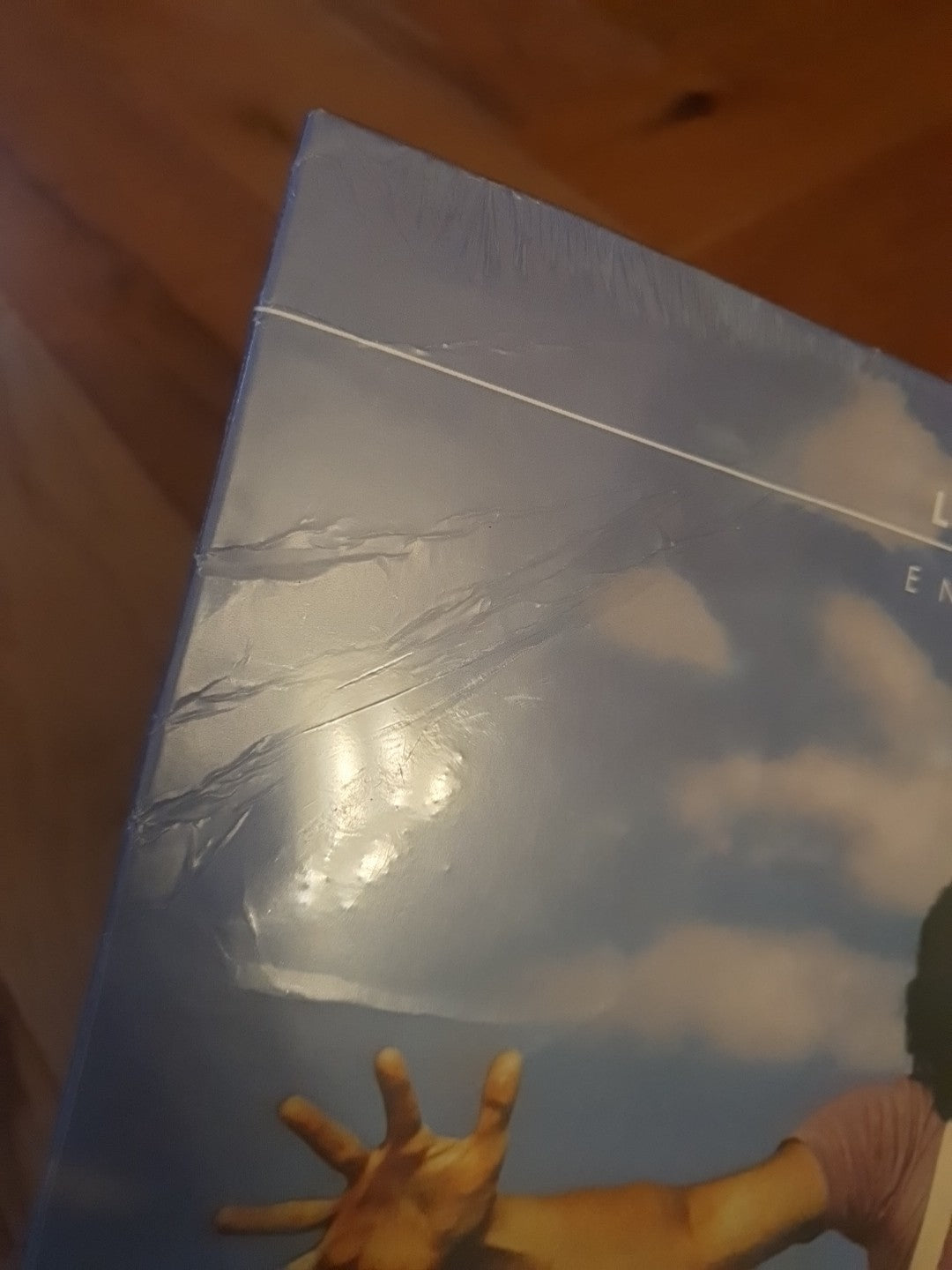 Endless Flight by Leo Sayer (Record, 2020)