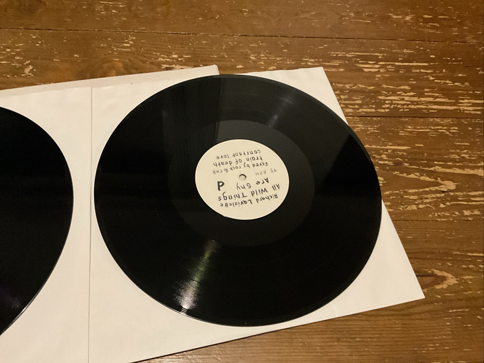Richard Laviolette - All Wild Things Are Shy Vinyl