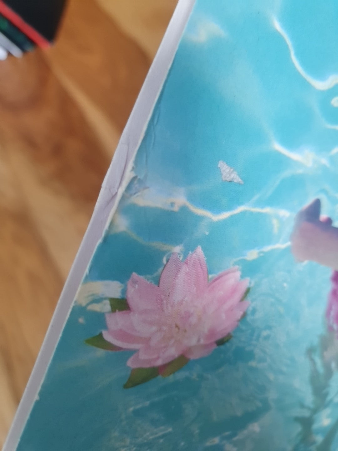 Sun Will Come Up, the Seasons Will Change by Nina Nesbitt , 2019 Vinyl LP