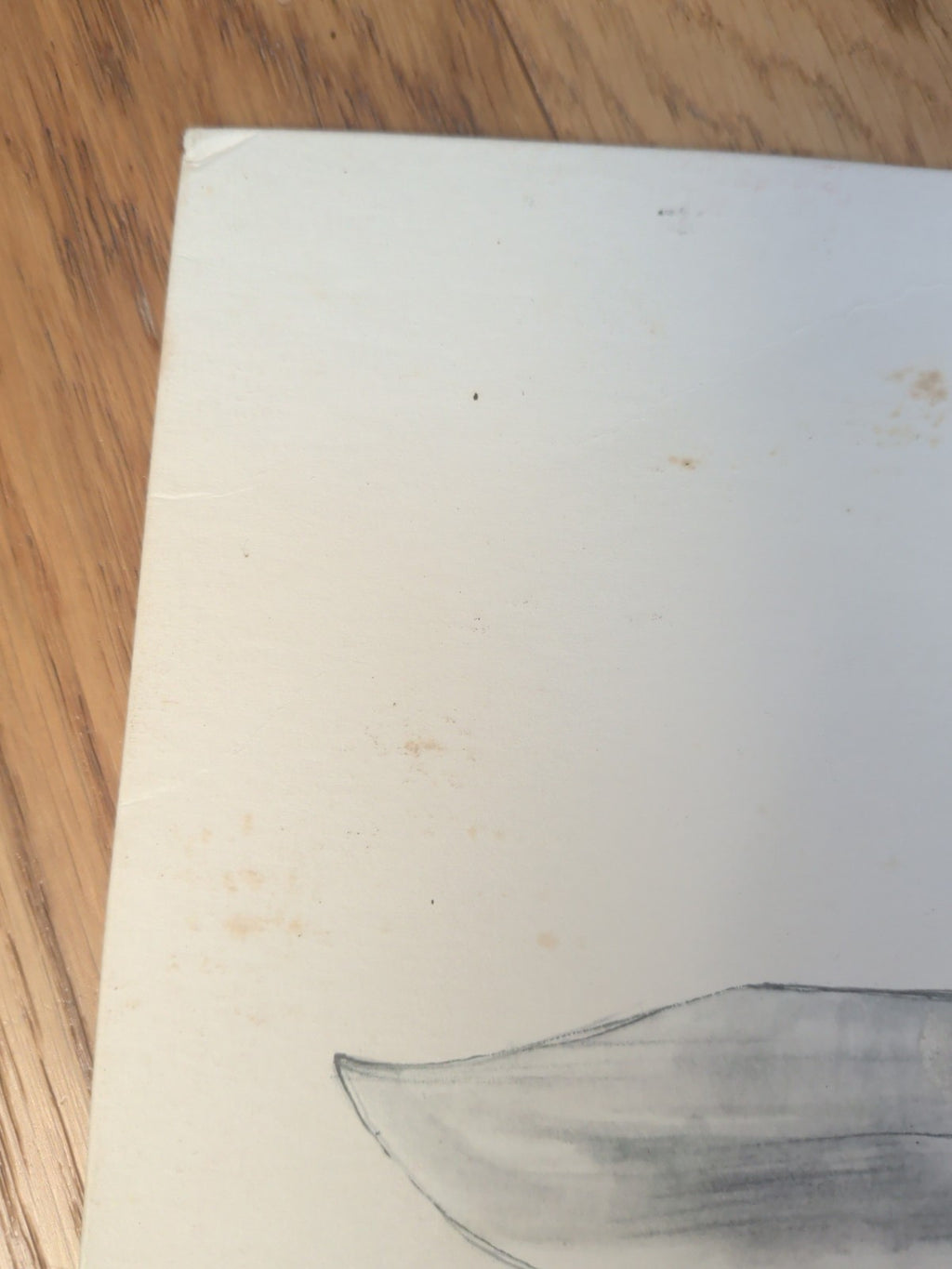 Talon of the Hawk The Front Bottoms Vinyl LP