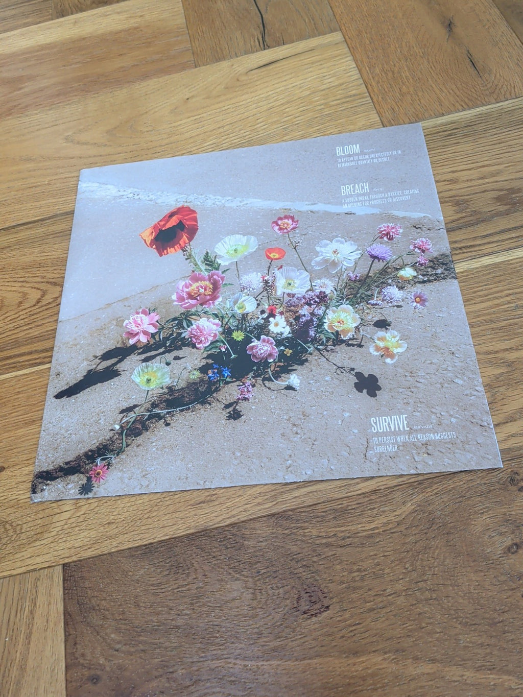 Lewis Capaldi Survive EP 12" vinyl Europe Vertigo Berlin 2025 limited clear