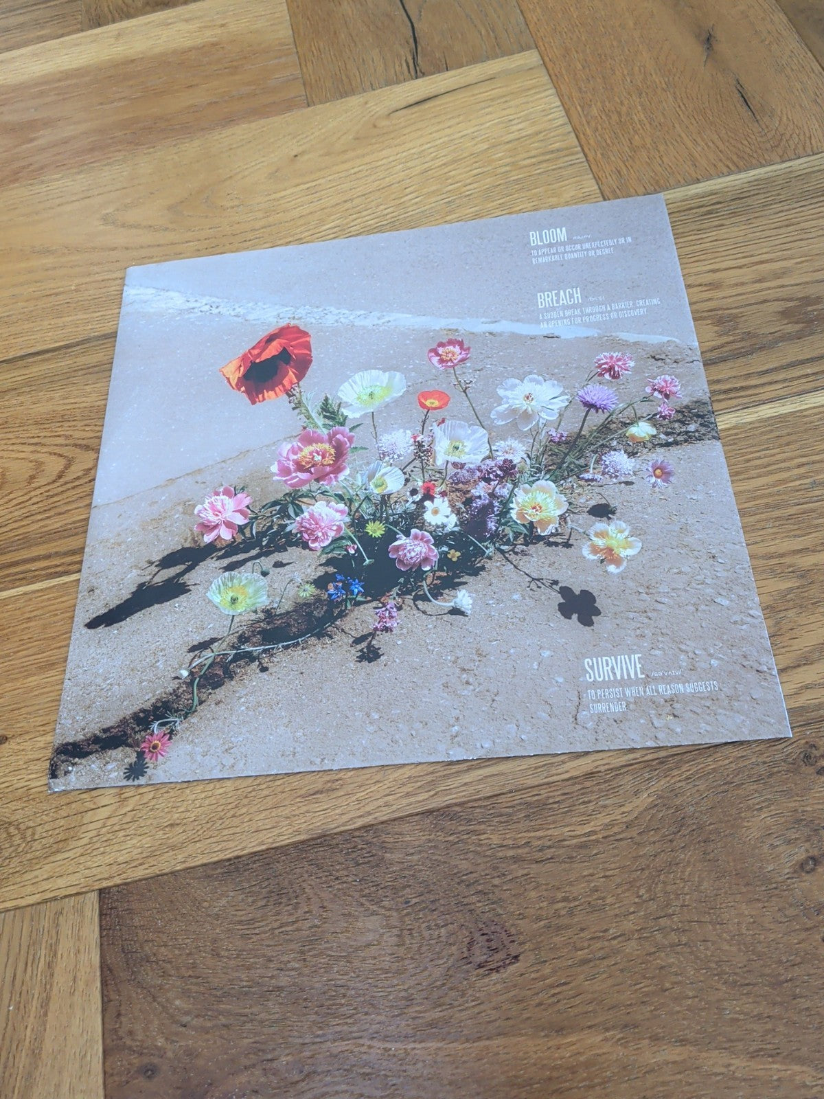 Lewis Capaldi Survive EP 12" vinyl Europe Vertigo Berlin 2025 limited clear