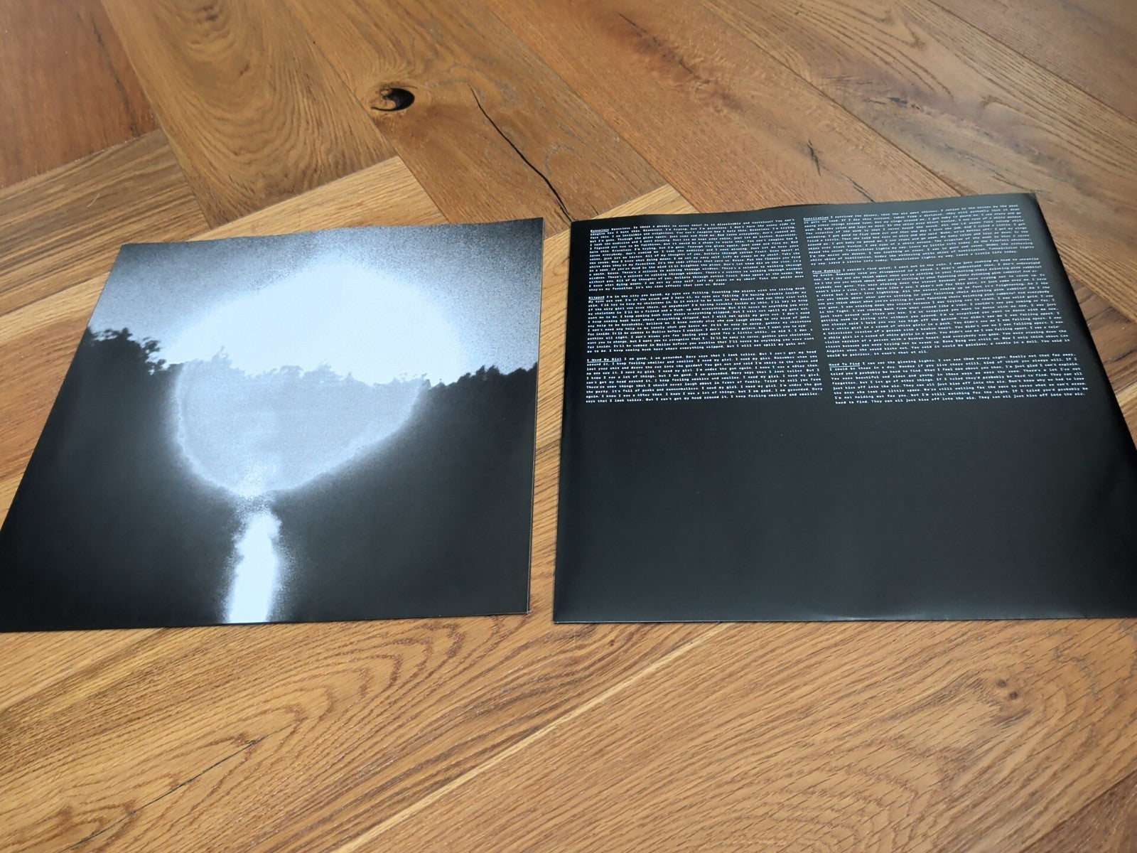Trouble Will Find Me by The National Record Vinyl LP X 2 Album
