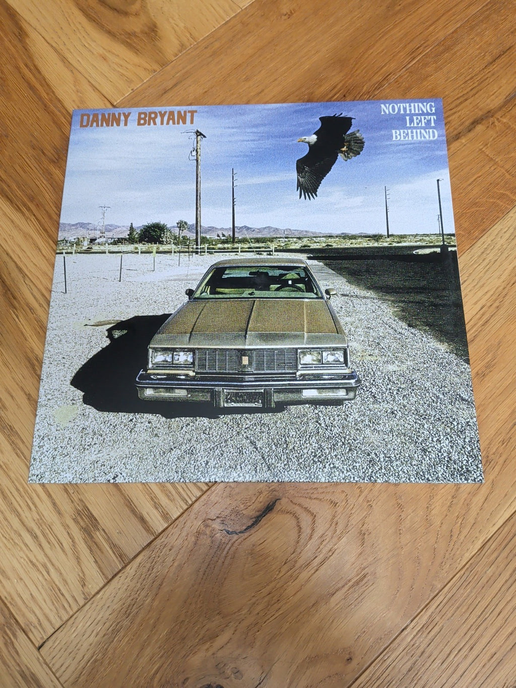 BRYANT Danny Nothing Left Behind Vinyl heavyweight vinyl LP Album Record
