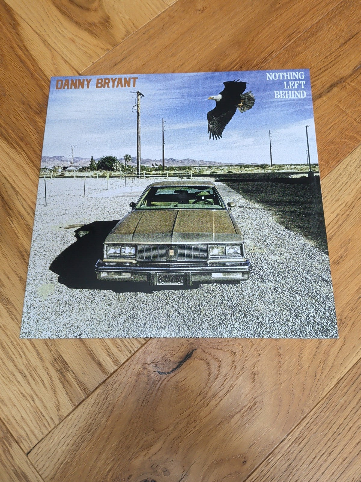 BRYANT Danny Nothing Left Behind Vinyl heavyweight vinyl LP Album Record
