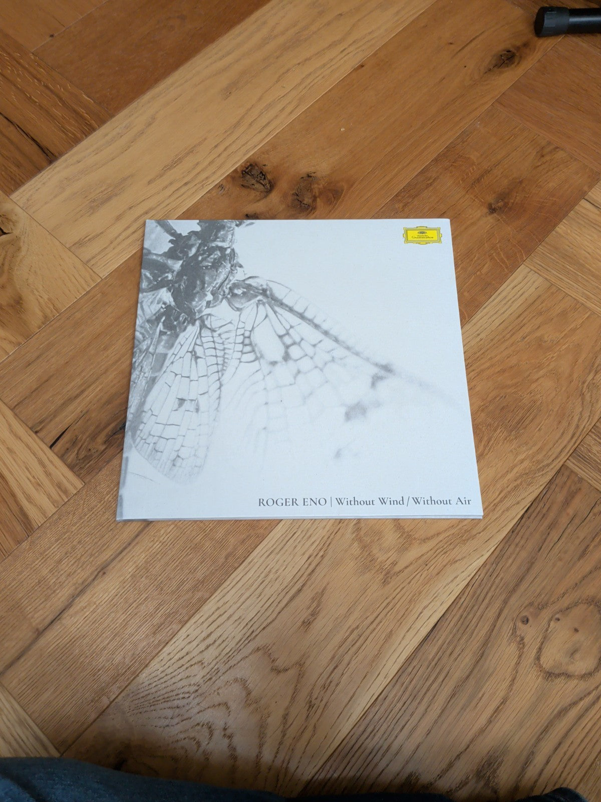 Roger Eno Roger Eno: Without Wind Without Air VINYL 12" Album 2025 LP