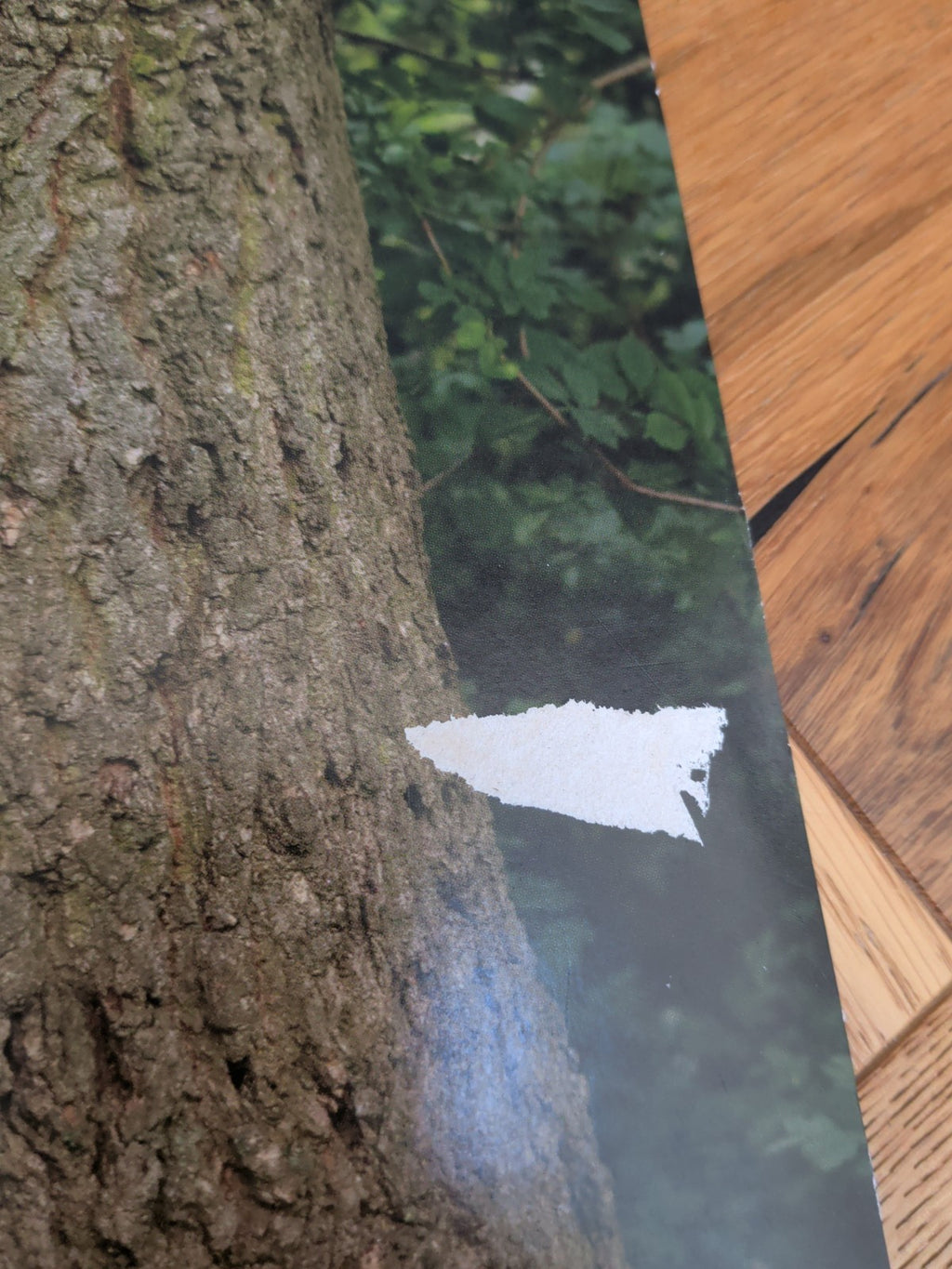 Line Is a Curve by Kae Tempest Vinyl LP 2022 - READ DESCRIPTION