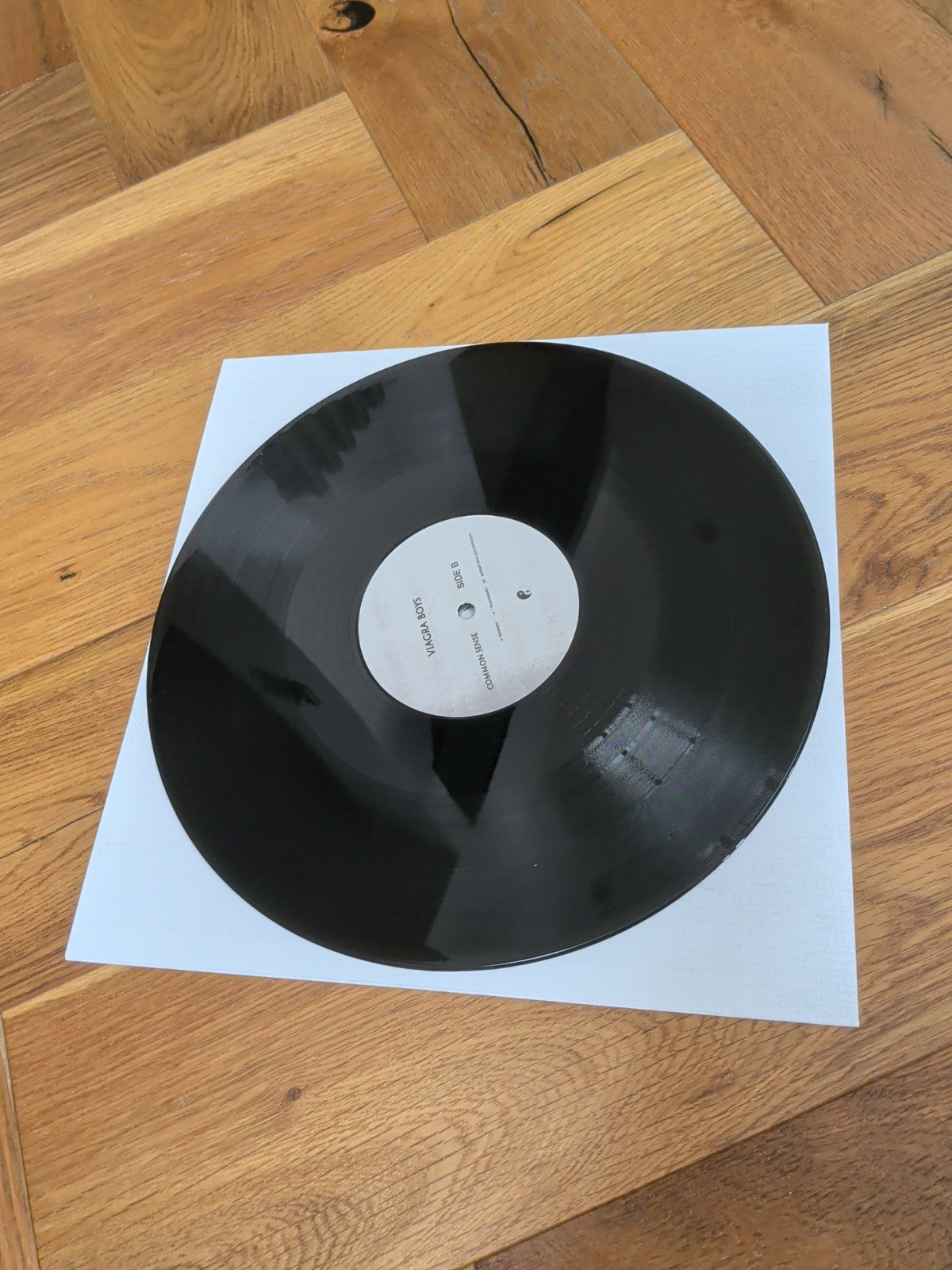 Viagra Boys Common Sense VINYL 12" EP 2023