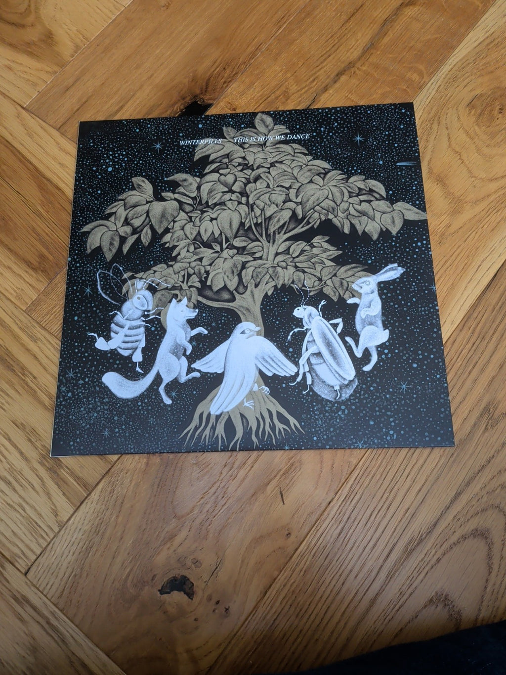 Winterpills This Is How We Dance VINYL 12" Album 2025