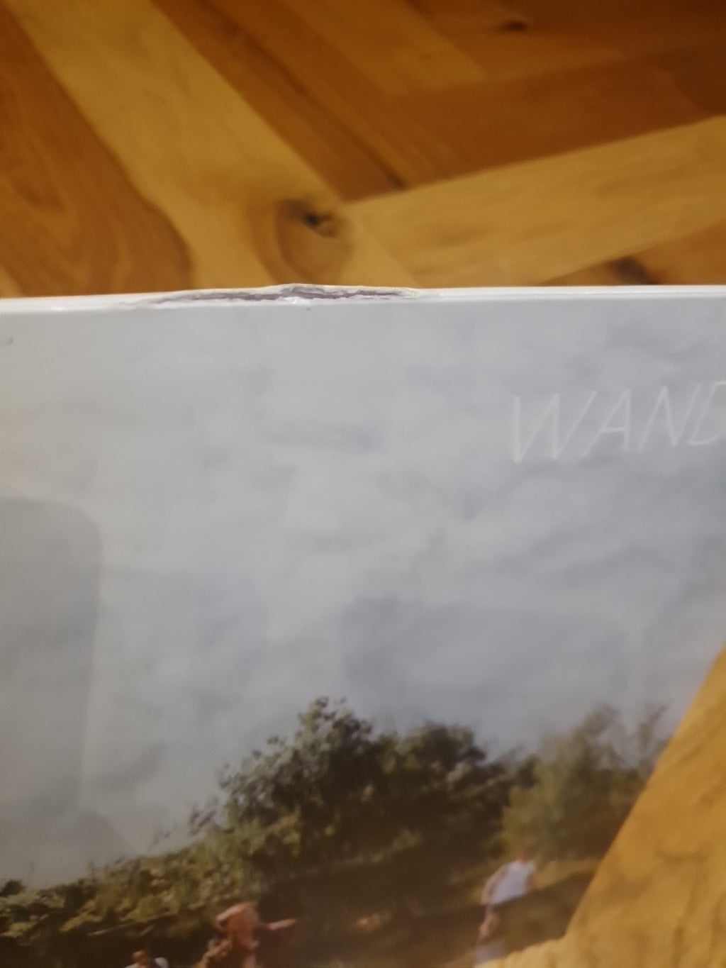 Wanda Bussi (Vinyl) LP Album            rl