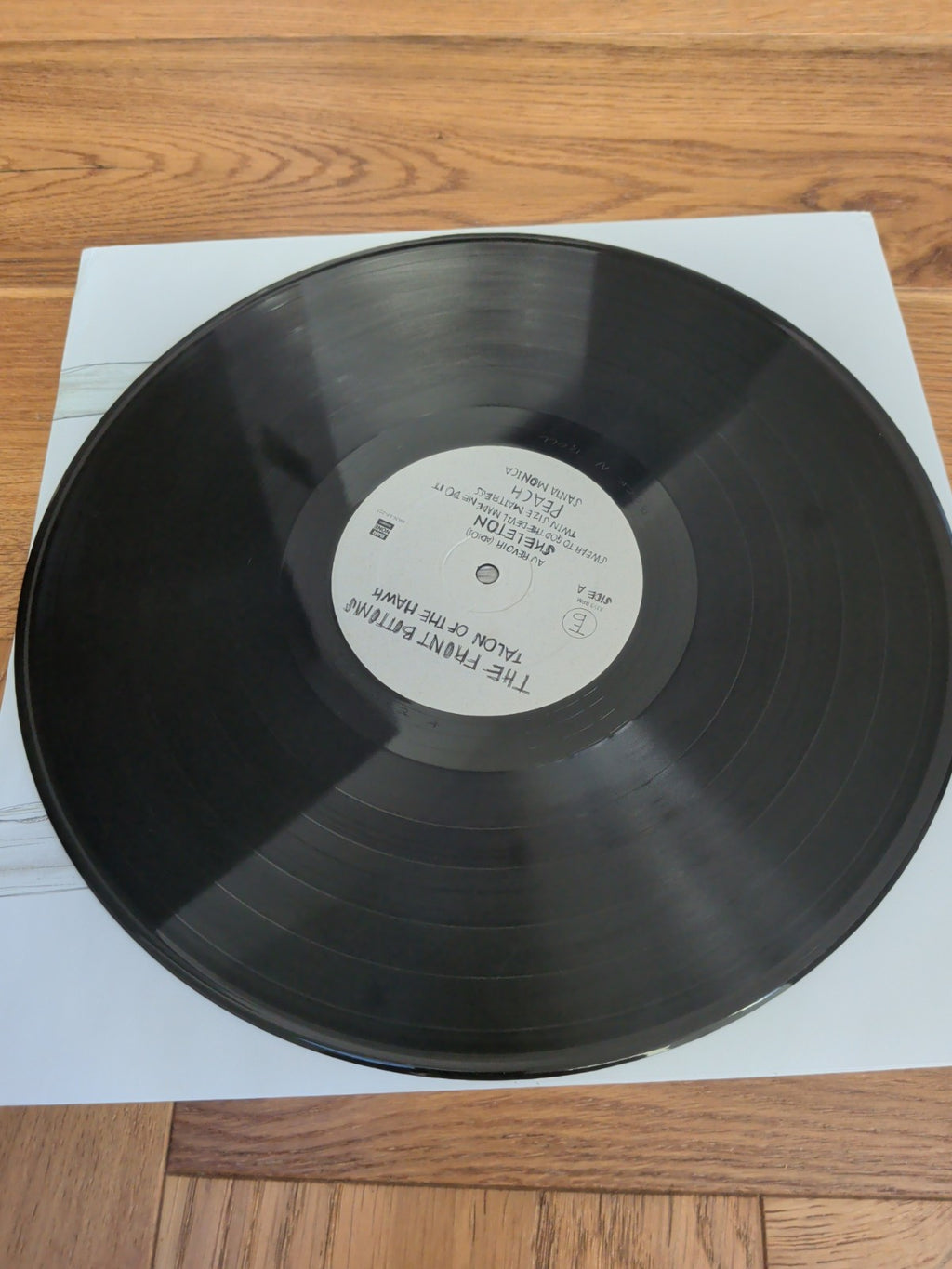 Talon of the Hawk The Front Bottoms Vinyl LP