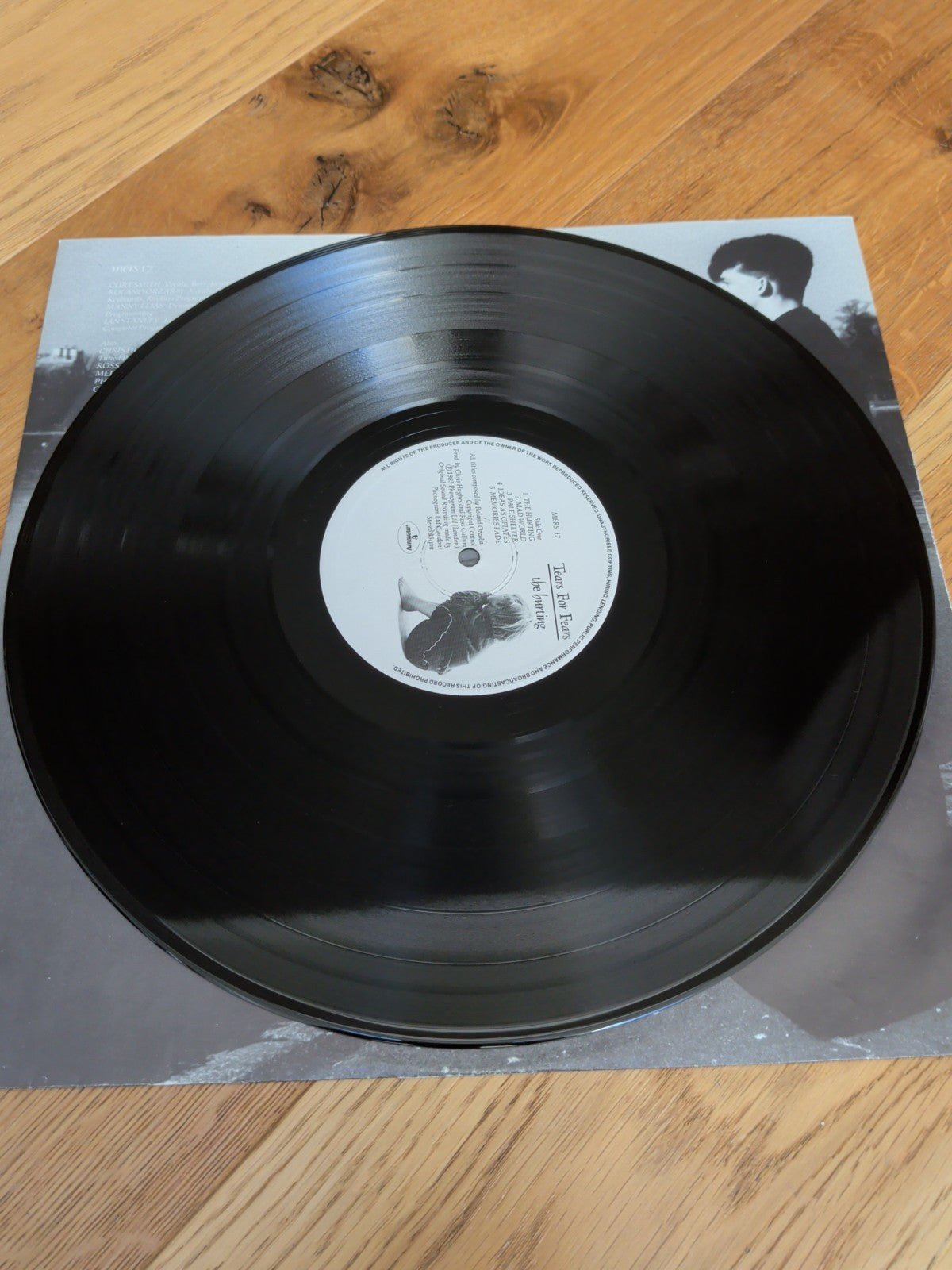 Tears for Fears the Hurting Vinyl LP
