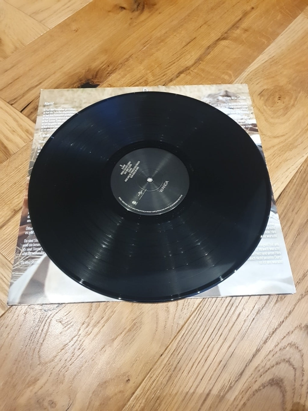 Wanda Bussi (Vinyl) LP Album            rl