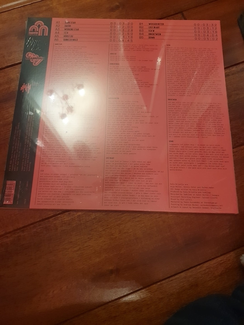 Kala Brisella Lost in Labour (Vinyl) LP - NEW SEALED