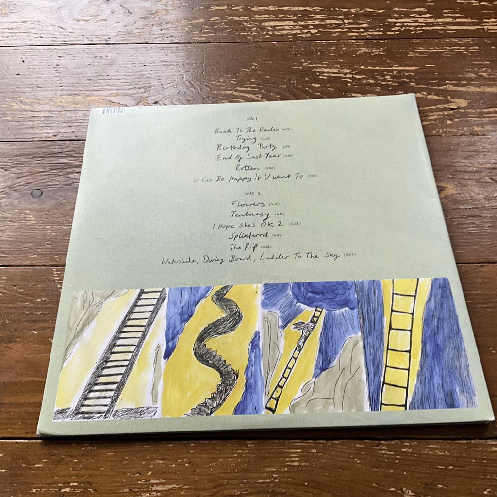 Waterslide, Diving Board, Ladder to the Sky by Porridge Radio (Record, 2022)