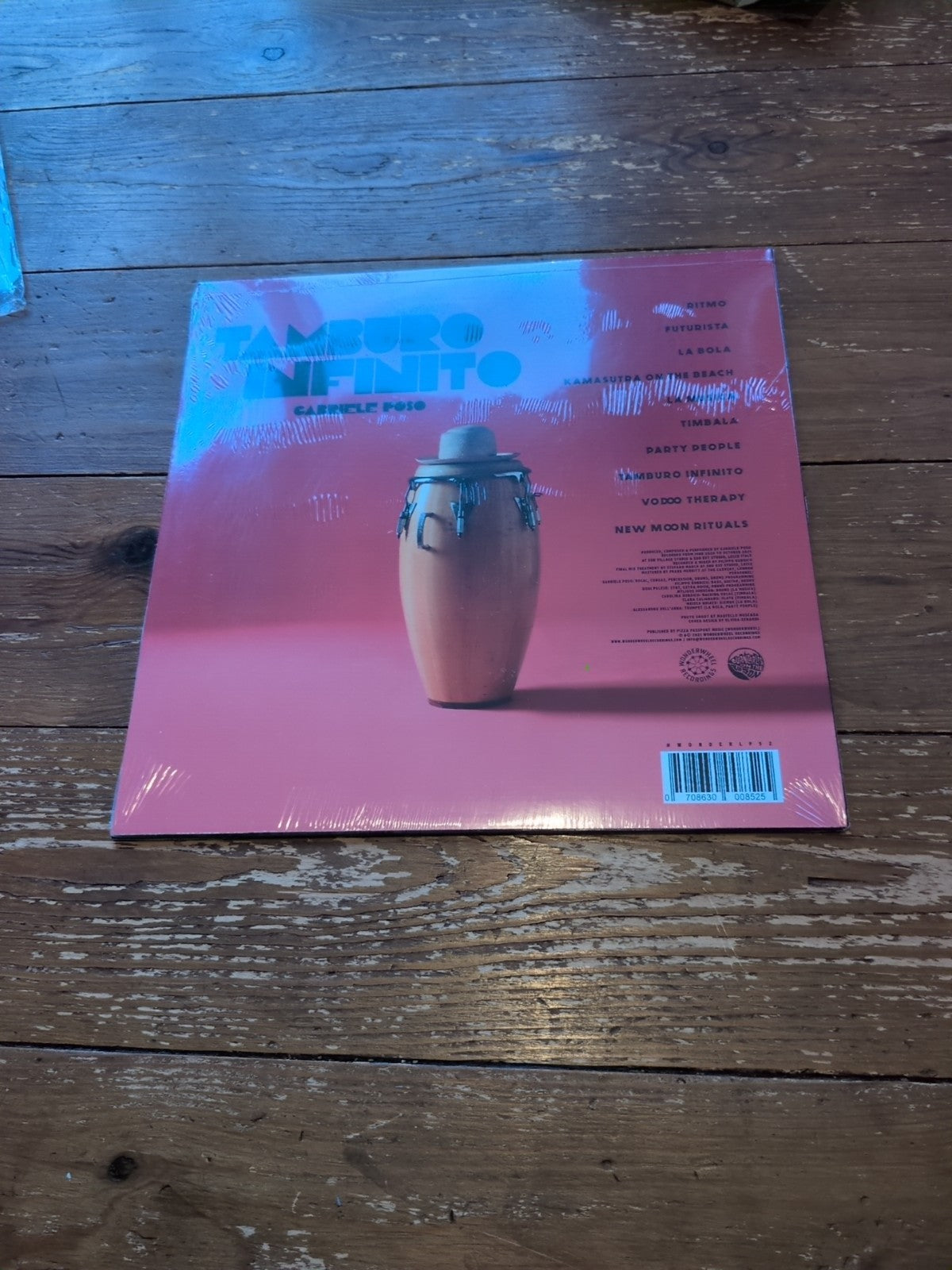 Tamburo Infinito by Gabriele Poso (Record, 2021) Sealed