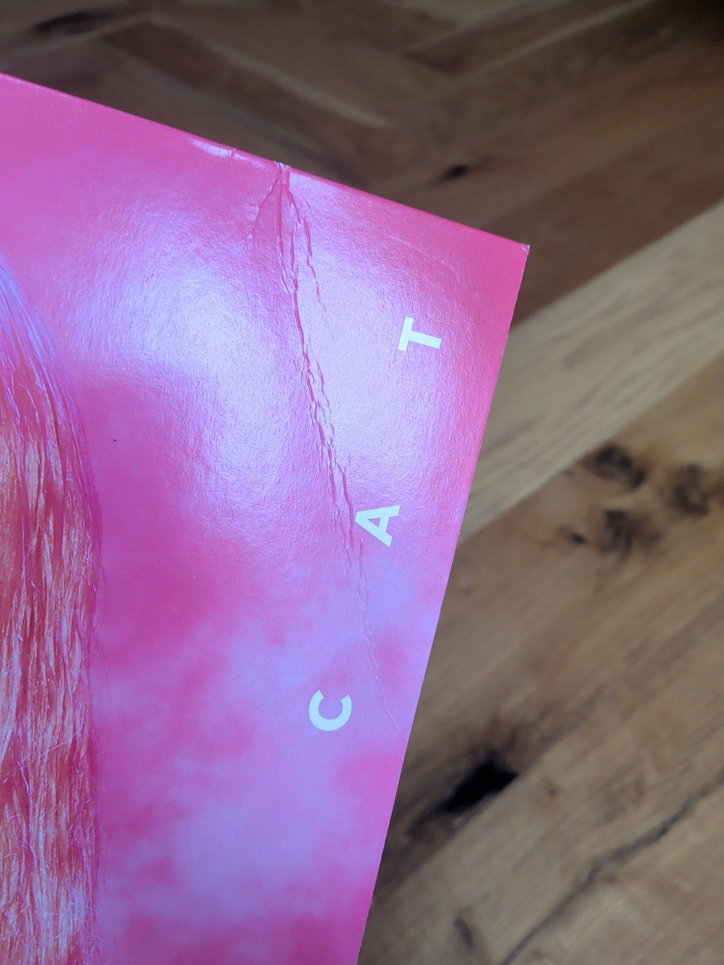 Hot Pink by Doja Cat Record 2020 Pink Coloured Vinyl LP Album Record