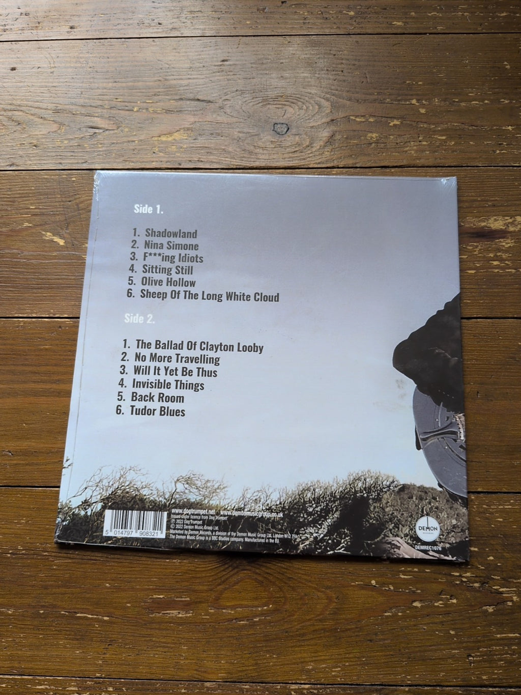 Shadowland by Dog Trumpet (Record, 2022)